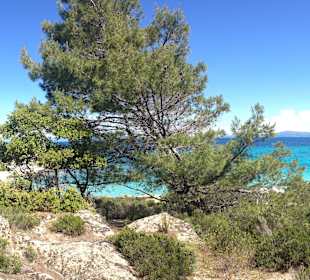 Orange Beach 2km vom Hotel Weg