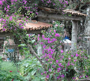 Ausblick beim Schlammbad Dalyan Fluss