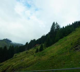 Besser als der Brenner