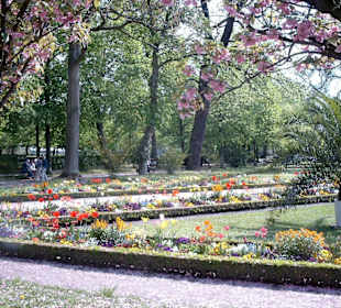 Frühling im Hofgarten der Residenz