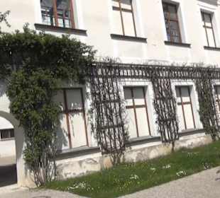 Prälaturstock 