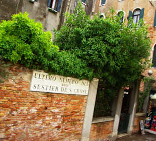 Endlich mal was Grünes