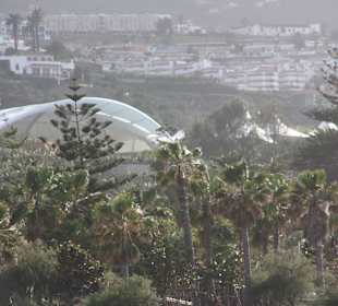 Der Loropark in der Ferne