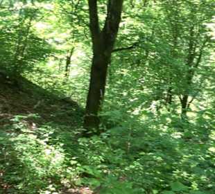 Wanderweg Sieben-Täler-Runde 