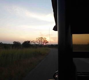 Krüger Nationalpark