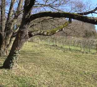Wanderung Florianrunde