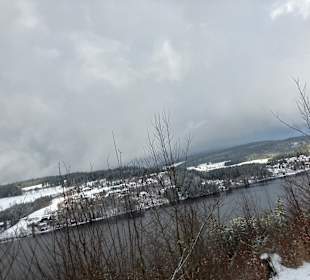 Ausblick