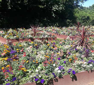 Kurpark Bad Rappenau