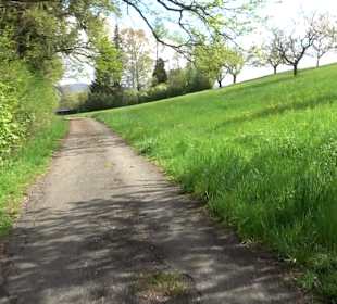 Naturerlebnisweg des NABU-Metzingen