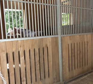 Haupt- und Landgestüt Marbach