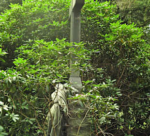 Кладбище Ольсдорф, Гамбург, 16 сентября 2013 года