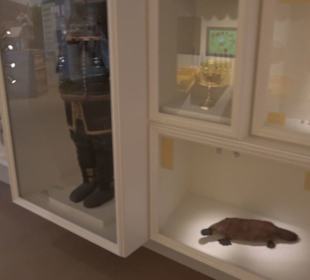 Museum Natur und Mensch