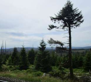  HSB Harzer Schmalspurbahnen