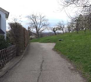 Der Grafenberg