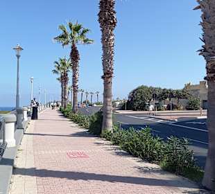 National Aquarium Malta