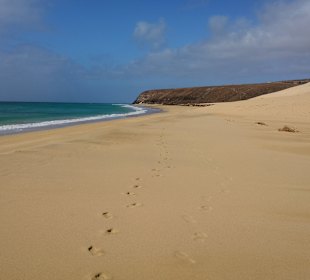 Strand bei Jandia... Dort treffen sich viele Surfer 