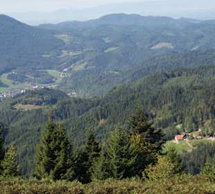 Sonstiges