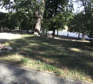 Altstadt - Rund um das Terrassenufer