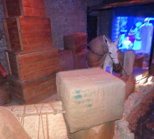 Stadtrundfahrt Dubai