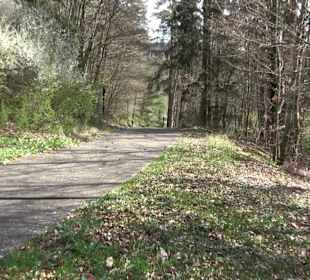 Baumlehrpfad Sontheim