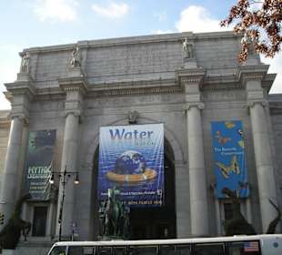 Muzeum of Natural History