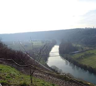 Aussichtspunkt Schönste Weinsicht Württemberg 2016