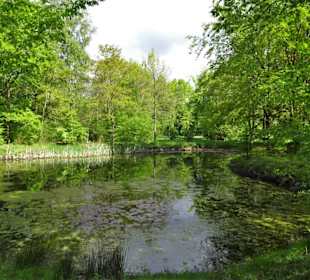 Impressionen aus dem Achterdiekpark