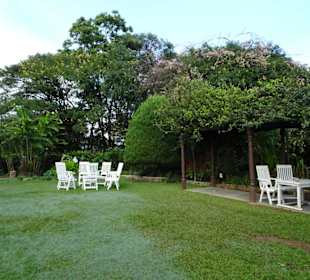Elefantenreiten Sigiriya