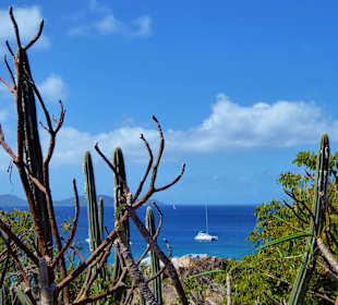 Ausflug Virgin Gorda Devills Bay sehr zu empfehlen