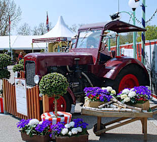 Ausstellung ,,Alte Traktoren''