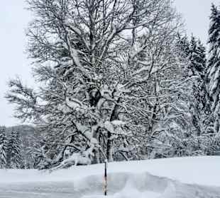 Wandern Hinterthal