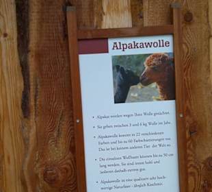 Südamerikabereich - Alpakahaus