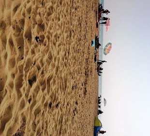 Direkt am Hundestrand freier Bereich