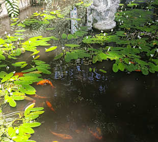 Monte Palace Tropical Garden