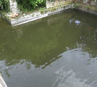 Benediktinerkloster Lorch