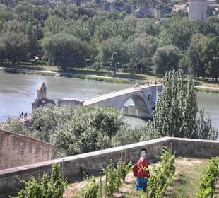 Die berühmte Brücke von Avignon
