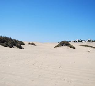 Dünen von Playa del Ingles