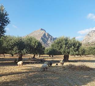 Wandern Riverwalk Plakias