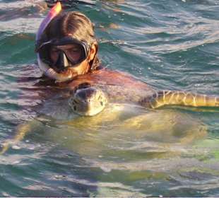 Beeintruckende Tiere