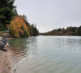 Forggensee 