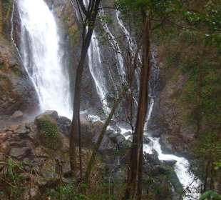 Pura Vida Wasserfälle