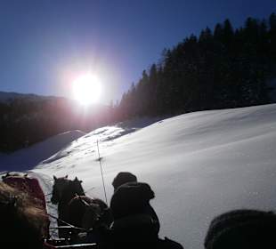 Herrlich bei Sonnenschein
