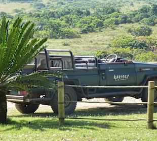 Geländewagen vom Game Drive