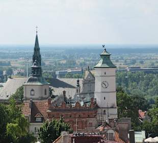 Widok z wieży widokowej Bramy Opatowskiej