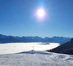 Ausblick Familotel Allgäuer Berghof