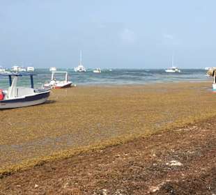Strand Bavaro Beach Punta Cana 13.06.18