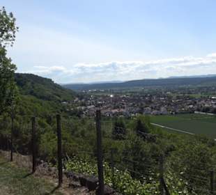 Früchtetrauf - Wurmlinger Kapellenwegle