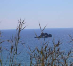 Ausblick