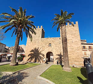 Plaza de Carlos V in Alcudia