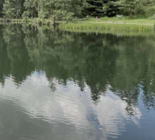Kinzigsee